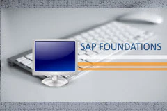 Course: SAP S/4HANA Foundations - Basic Navigation