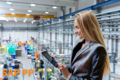 Course: SAP S4/HANA - Production Execution - Shop Floor Control