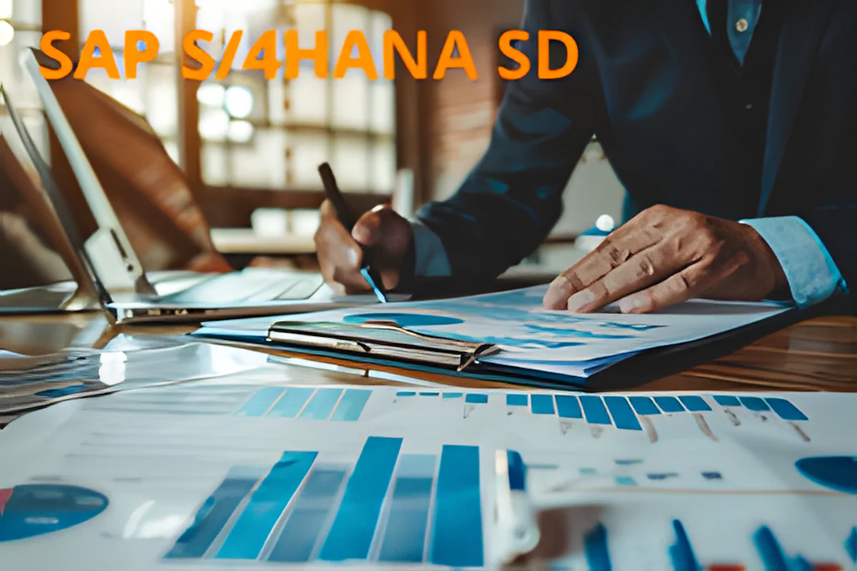 Course :SAP S/4HANA - Customer and Pricing Setup